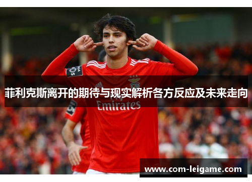 菲利克斯离开的期待与现实解析各方反应及未来走向